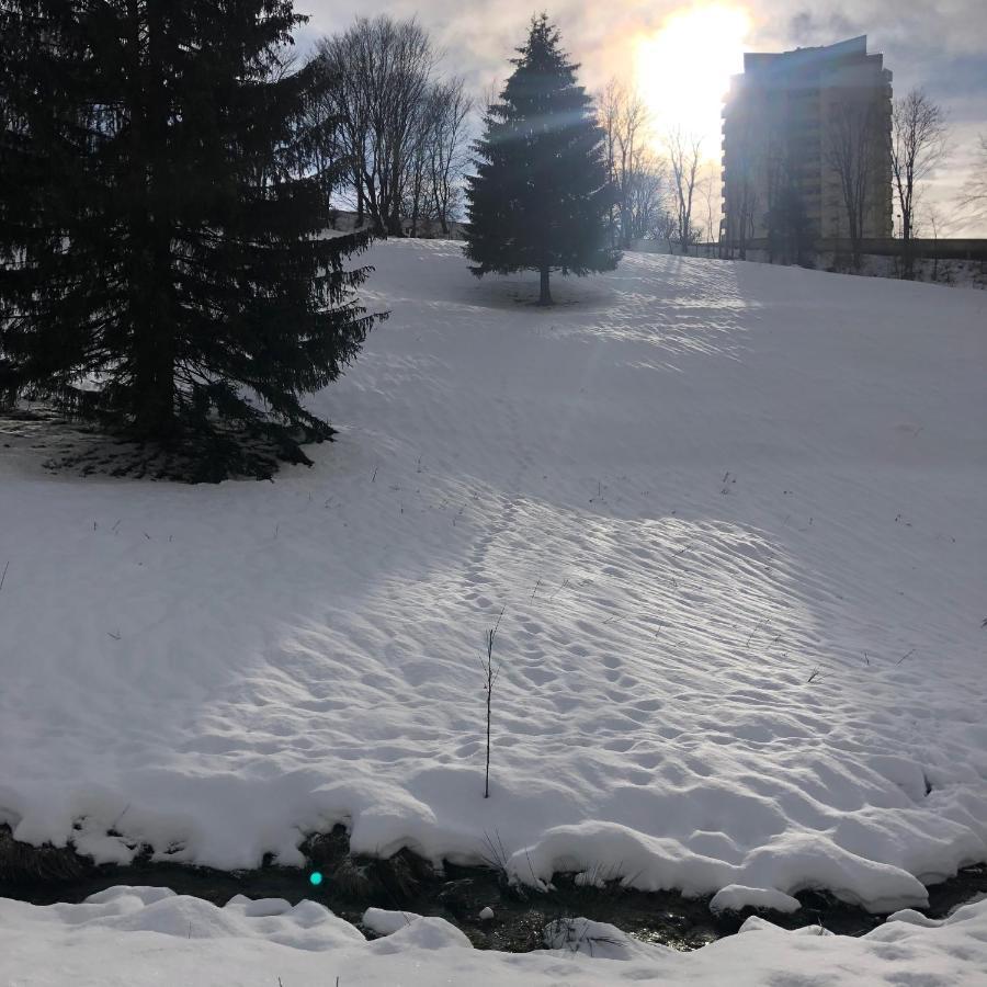 Pano Hohegeiss App 363 Mit Wlan Apartamento Braunlage Exterior foto